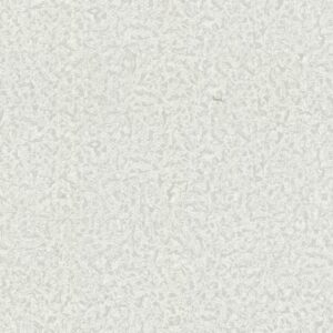 Roberto Cavalli VOL.8 - RC19024