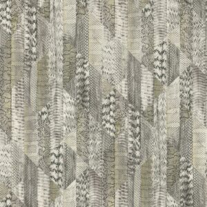 Roberto Cavalli VOL.8 - RC19066
