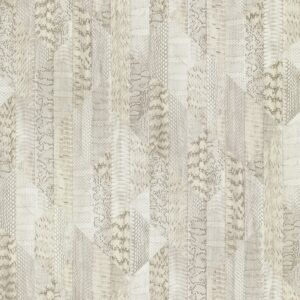 Roberto Cavalli VOL.8 - RC19069
