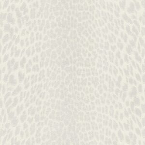Roberto Cavalli VOL.9 - RC21042
