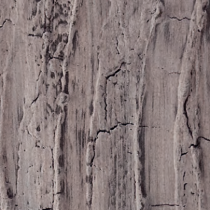 Valpaint Jungle Corteccia