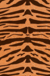 Valpaint Jungle Tigre