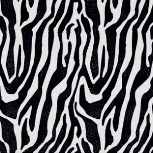 Valpaint Jungle Zebra
